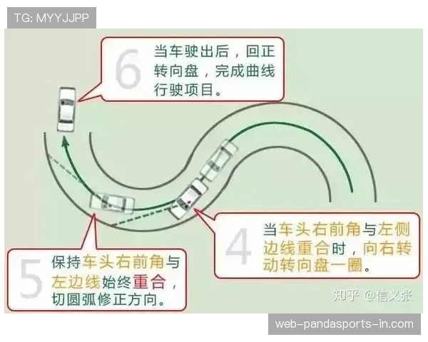 发球干扰规则是什么意思？新手必看的判罚标准解析